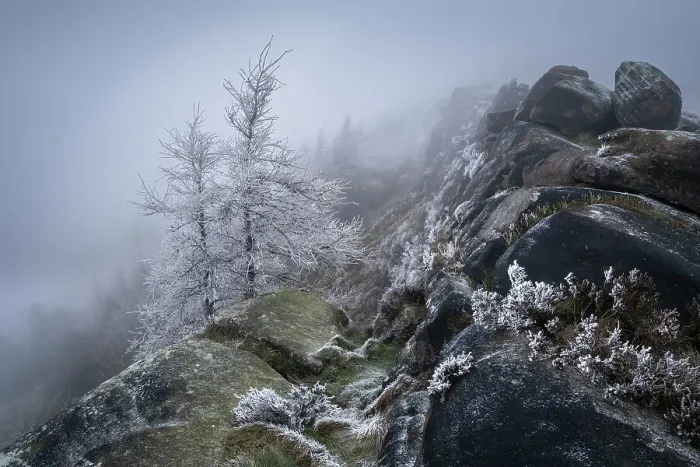 Framed Print : Hoar frosted trees and freezing fog at The Roaches rock formation in Winter, The Roaches, near Leek, Peak District National Park, Staffordshire Moorlands, Staffordshire, England, United Kingdom, Europe Framed Print : Hoar frosted trees and freezing fog at The Roaches rock formation in Winter, The Roaches, near Leek, Peak District National Park, Staffordshire Moorlands, Staffordshire, England, United Kingdom, Europe