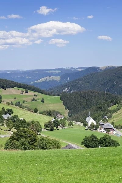 Hofsgrund, Schauinsland Mountain, Black Forest, Baden Wurttemberg, Germany, Europe