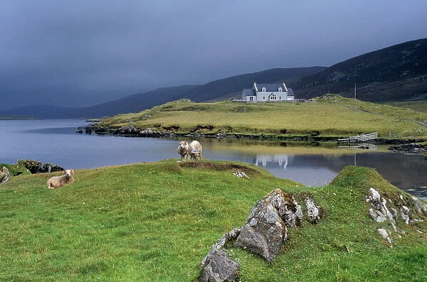 Hogaland, Whiteness, Mainland, Shetland Islands, Scotland, United Kingdom, Europe