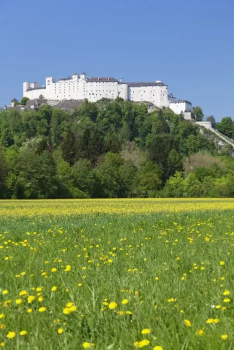 Framed Print : Hohensalzburg Fortress, Salzburg, Salzburger Land, Austria, Europe Framed Print : Hohensalzburg Fortress, Salzburg, Salzburger Land, Austria, Europe