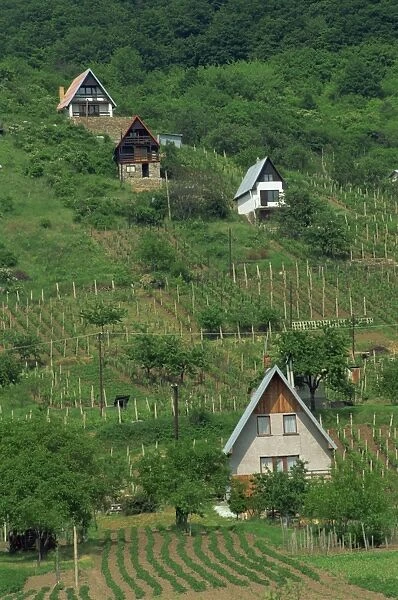 Holiday chalets and vegetable plots in the Slovak Sea