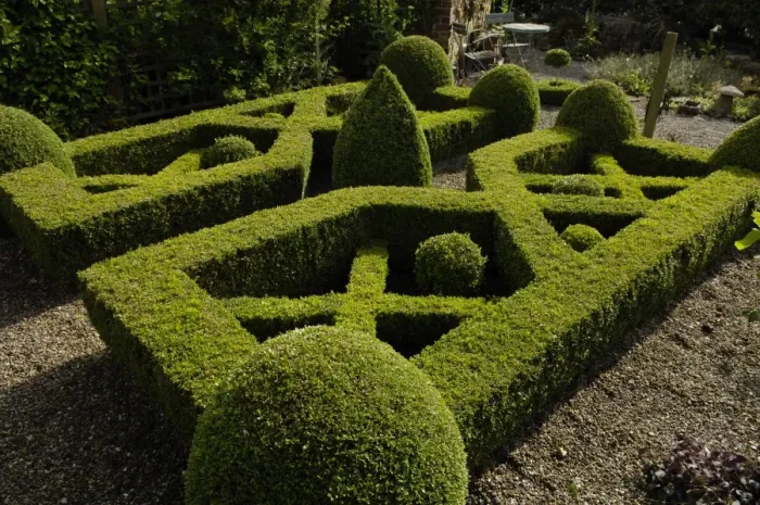 Framed Print : A home-made knot garden, England, United Kingdom, Europe Framed Print : A home-made knot garden, England, United Kingdom, Europe