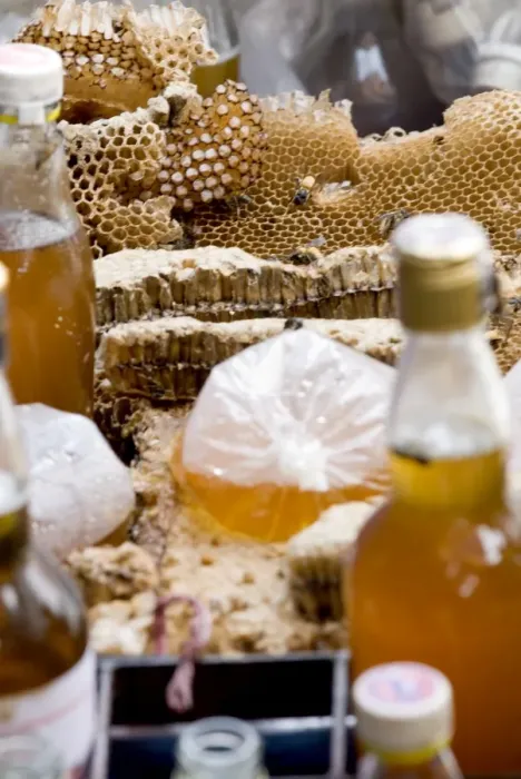 Framed Print : Honey and honeycomb, Chatuchak weekend market, Bangkok, Thailand, Southeast Asia, Asia Framed Print : Honey and honeycomb, Chatuchak weekend market, Bangkok, Thailand, Southeast Asia, Asia