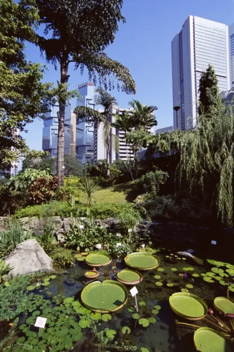 Framed Print : Hong Kong Park, Central, Hong Kong Island, Hong Kong, China, Asia Framed Print : Hong Kong Park, Central, Hong Kong Island, Hong Kong, China, Asia