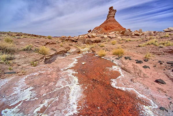 A hoodoo called The Guardian near a natural Spring west of Pintado Point in Petrified Forest National Park, Arizona, United States of America, North America