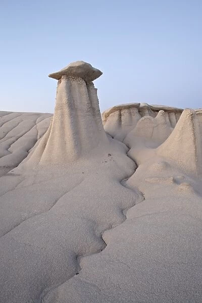Hoodoo and erosion channel, Bisti Wilderness, New Mexico, United States of America