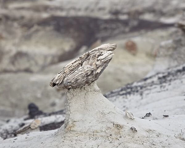 Hoodoo formed by a piece of petrified wood, San Juan Basin, New Mexico, United States of America, North America