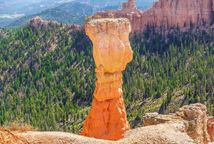 Framed Print : Hoodoo known as The Hunter at Agua Canyon, Bryce Canyon National Park, Utah, USA Framed Print : Hoodoo known as The Hunter at Agua Canyon, Bryce Canyon National Park, Utah, USA
