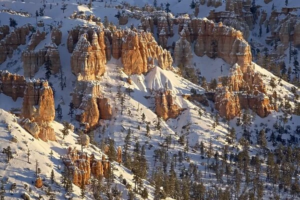 Hoodoos with fresh snow, Bryce Canyon National Park, Utah, United States of America