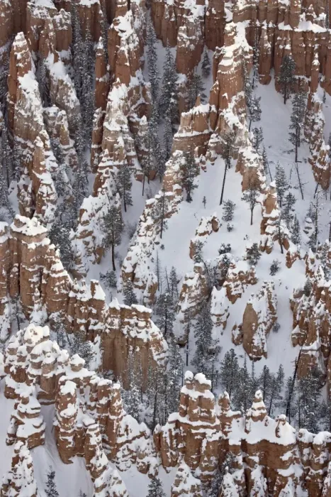 Framed Print : Hoodoos with fresh snow, Bryce Canyon National Park, Utah, United States of America Framed Print : Hoodoos with fresh snow, Bryce Canyon National Park, Utah, United States of America
