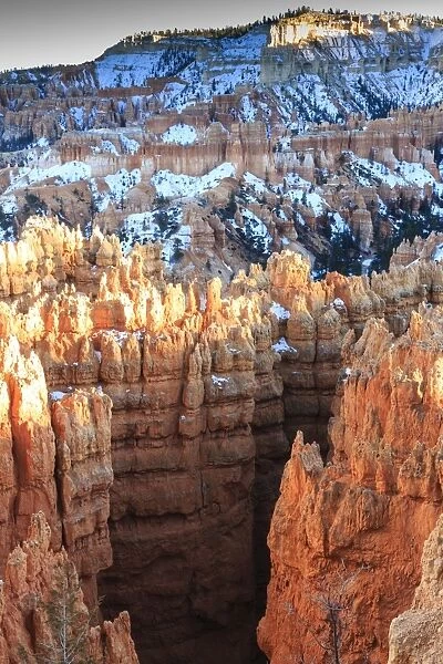 Hoodoos lit by late afternoon sun with snow, from Rim Trail near Sunset Point, Bryce Canyon National Park, Utah, United States of America, North America