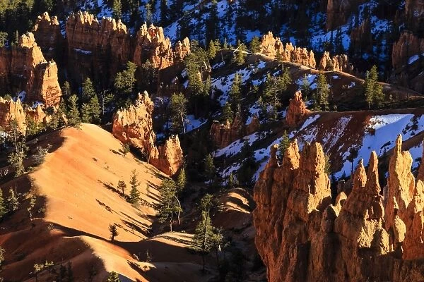 Hoodoos and pine trees with snow lit by late afternoon sun in winter, near Sunrise Point, Bryce Canyon National Park, Utah, United States of America, North America