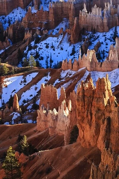 Hoodoos, pine trees and snow lit by strong late afternoon sun in winter, near Sunrise Point, Bryce Canyon National Park, Utah, United States of America, North America