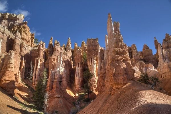 Hoodoos, on the Queens Garden Trail, Bryce Canyon National Park, Utah, United States of America