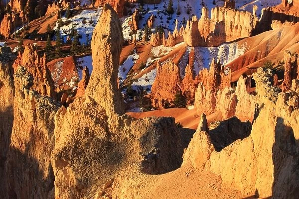 Hoodoos and snow lit by strong dawn light in winter, Queens Garden Trail at Sunrise Point, Bryce Canyon National Park, Utah, United States of America, North America