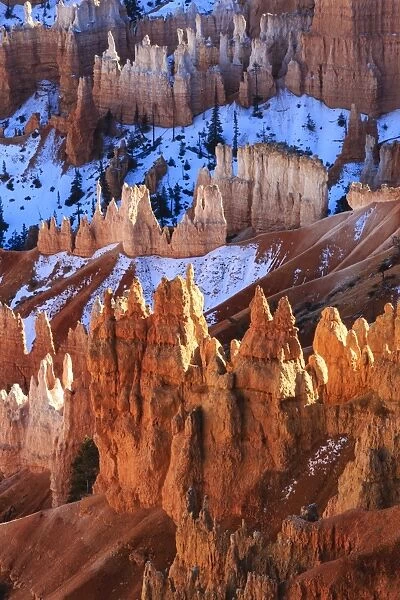 Hoodoos and snow lit by strong late afternoon sun in winter, near Sunrise Point, Bryce Canyon National Park, Utah, United States of America, North America