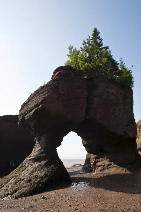 Framed Print : Hopewell Rocks and The Ocean Tidal Exploration Site, New Brunswick, Canada, North America Framed Print : Hopewell Rocks and The Ocean Tidal Exploration Site, New Brunswick, Canada, North America