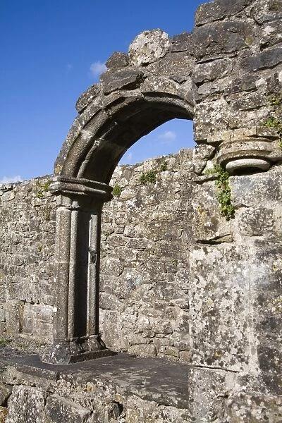 Hore Abbey, Cashel Town, County Tipperary, Munster, Republic of Ireland, Europe