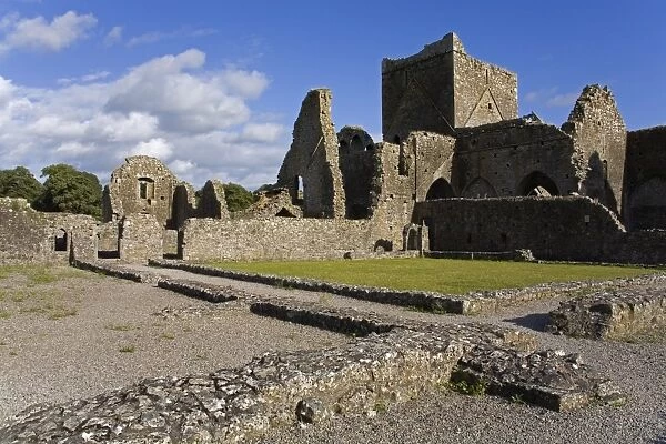Hore Abbey, Cashel Town, County Tipperary, Munster, Republic of Ireland, Europe