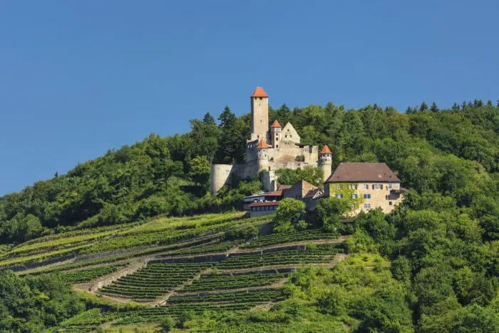 Framed Print : Hornberg Castle, Neckarzimmern, Neckartal Valley, Baden-Wurttemberg, Germany, Europe Framed Print : Hornberg Castle, Neckarzimmern, Neckartal Valley, Baden-Wurttemberg, Germany, Europe