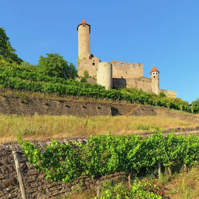 Framed Print : Hornberg Castle, Neckarzimmern, Neckartal Valley, Odenwald, Burgenstrasse, Baden-Wurttemberg, Germany, Europe Framed Print : Hornberg Castle, Neckarzimmern, Neckartal Valley, Odenwald, Burgenstrasse, Baden-Wurttemberg, Germany, Europe