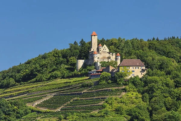 Hornberg Castle, Neckarzimmern, Neckartal Valley, Baden-Wurttemberg, Germany, Europe