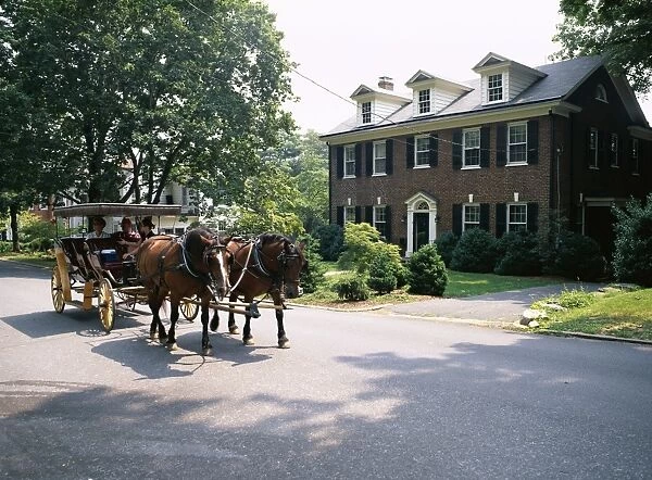 Horse and carriage in Lee Avenue