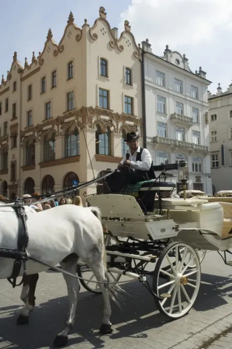 Framed Print : Horse and carriage in Main Market Square (Rynek Glowny) Framed Print : Horse and carriage in Main Market Square (Rynek Glowny)