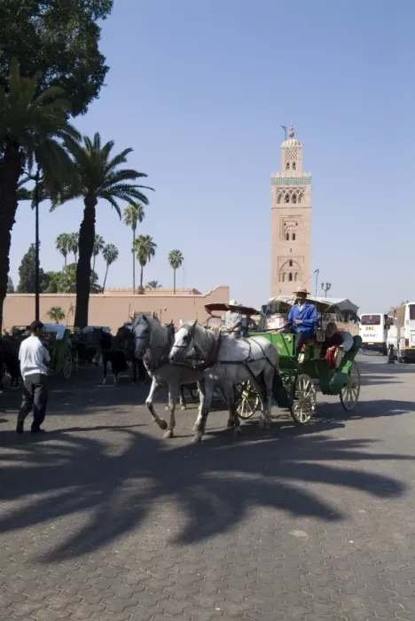 Framed Print : Horse and carriage near Jemaa el Fna with Koutoubia in background