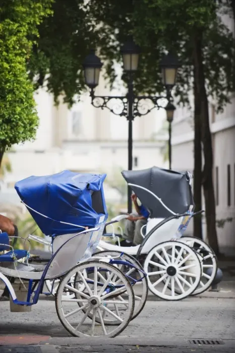 Framed Print : Horse carriage for tourists, Zona Colonial (Colonial District), UNESCO World Heritage Site Framed Print : Horse carriage for tourists, Zona Colonial (Colonial District), UNESCO World Heritage Site