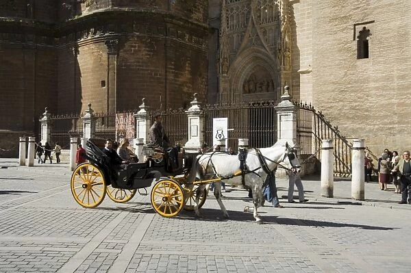 Horse and carriages with cathedral behind