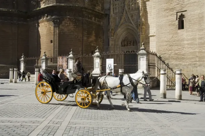 Framed Print : Horse and carriages with cathedral behind Framed Print : Horse and carriages with cathedral behind