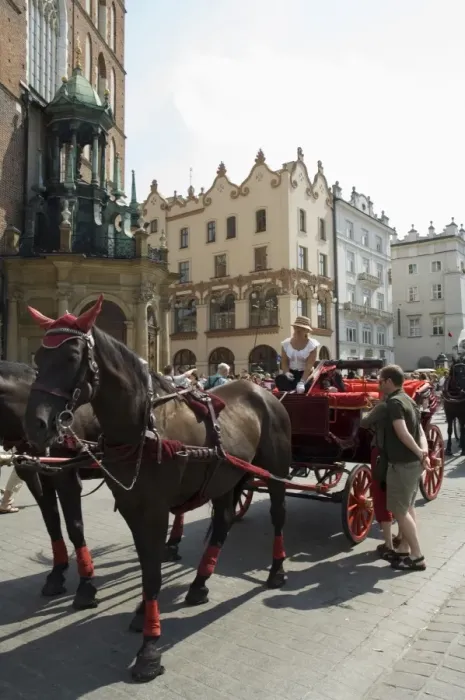 Framed Print : Horse and carriages in Main Market Square (Rynek Glowny) Framed Print : Horse and carriages in Main Market Square (Rynek Glowny)