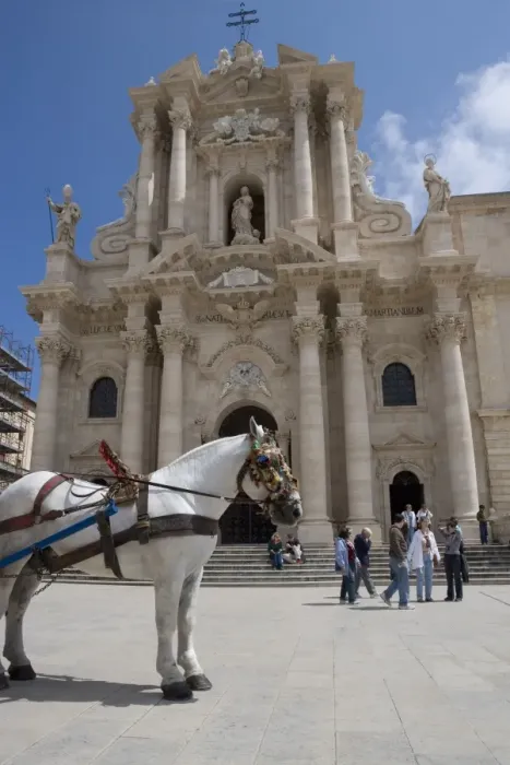 Framed Print : Horse in front of the cathedral Framed Print : Horse in front of the cathedral
