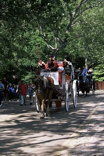 Horse drawn carriage in Central Park