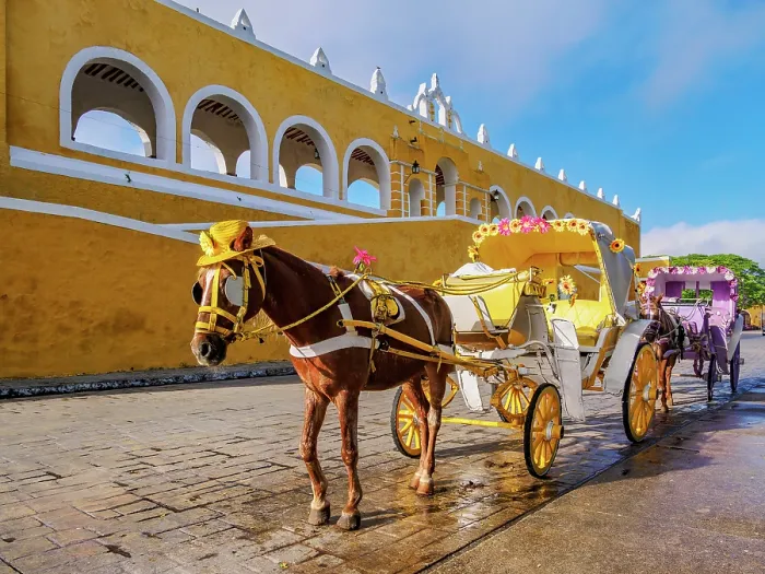 Framed Print : Horse-drawn carriages in front of the Convent of San Antonio de Padua, Izamal, Yucatan State, Mexico Framed Print : Horse-drawn carriages in front of the Convent of San Antonio de Padua, Izamal, Yucatan State, Mexico