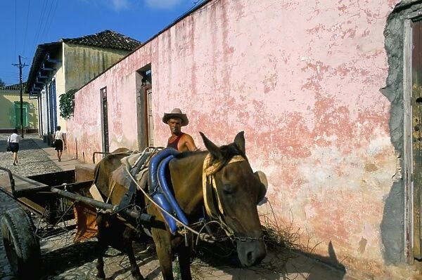 Horse-drawn cart in street of the colonial city, Trinidad, Sancti Spiritus region