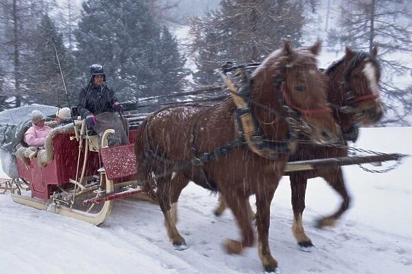Horse drawn sleigh making for Pontressina in a snow storm