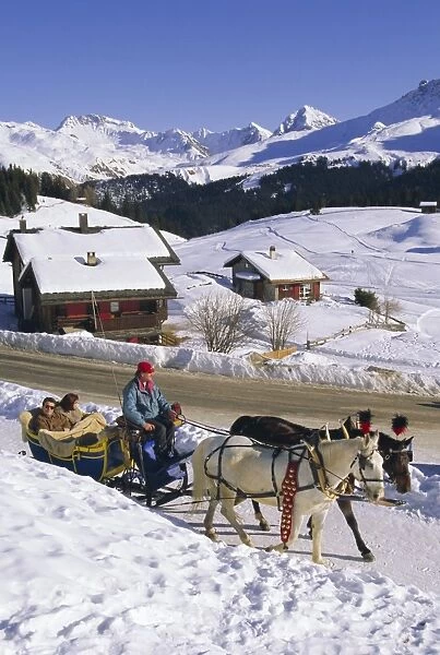 Horse drawn sleigh at ski resort