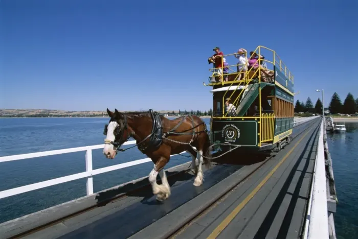 Framed Print : Horse drawn tram, Victor Harbour, South Australia, Australia, Pacific Framed Print : Horse drawn tram, Victor Harbour, South Australia, Australia, Pacific