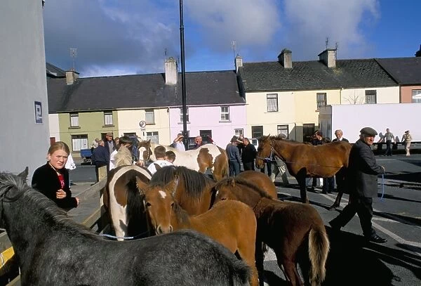 Horse and foal fair