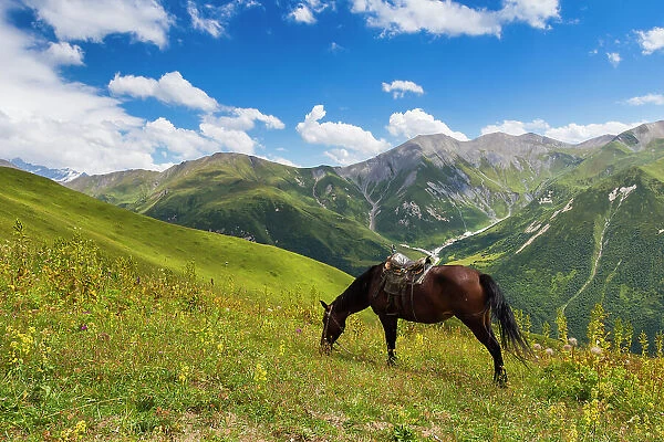 Horse grazing with Khaldechala River Valley and Caucasian mountains in background, Svaneti mountains, Georgia, Central Asia, Asia