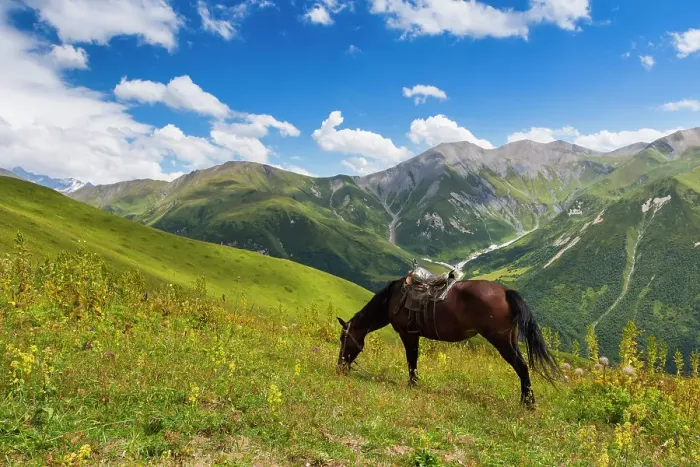 Framed Print : Horse grazing with Khaldechala River Valley and Caucasian mountains in background, Svaneti mountains, Georgia, Central Asia, Asia Framed Print : Horse grazing with Khaldechala River Valley and Caucasian mountains in background, Svaneti mountains, Georgia, Central Asia, Asia