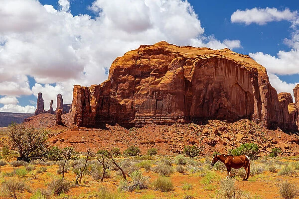 A horse rests in the beautiful Monument Valley on a summer day, Arizona, United States of America, North America