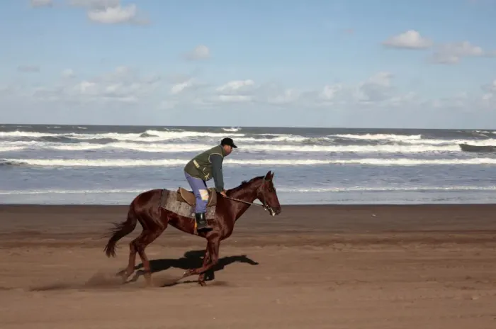 Framed Print : Horse rider on a beach near Azemmour, Morocco, North Africa, Africa Framed Print : Horse rider on a beach near Azemmour, Morocco, North Africa, Africa