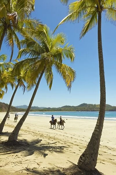 Horse riders on beautiful palm fringed Playa Carrillo, Carrillo, near Samara, Guanacaste Province, Nicoya Peninsula, Costa Rica, Central America