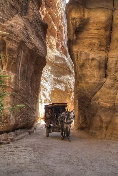 Horsecart in the Siq, Petra, UNESCO World Heritage Site, Jordan, Middle East