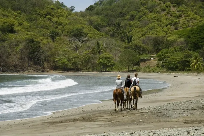 Framed Print : Horses on beach at Punta Islita, Nicoya Pennisula, Pacific Coast, Costa Rica Framed Print : Horses on beach at Punta Islita, Nicoya Pennisula, Pacific Coast, Costa Rica