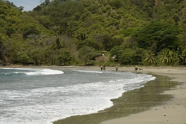 Horses on beach at Punta Islita, Nicoya Pennisula, Pacific Coast, Costa Rica