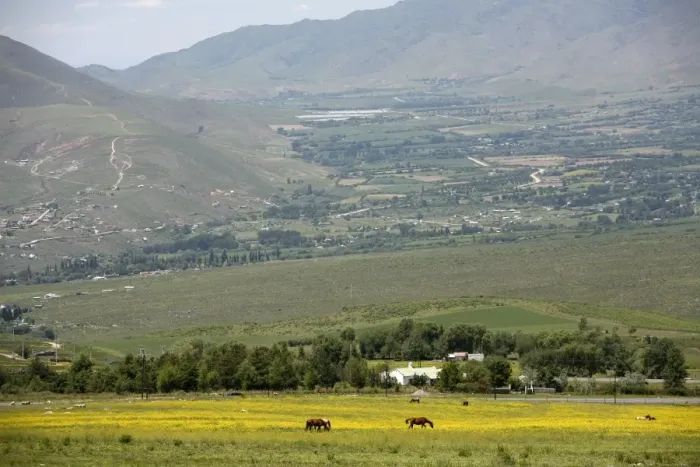 Framed Print : Horses in a field near Tafi del Valle, Salta Province, Argentina, South America Framed Print : Horses in a field near Tafi del Valle, Salta Province, Argentina, South America